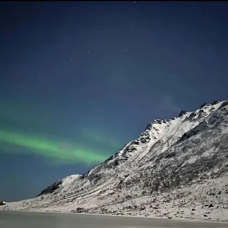 Sokkel Leiligheten *