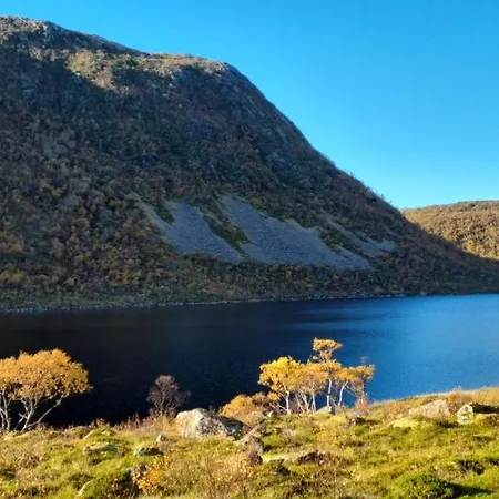 Sokkel Leiligheten Lejlighed Bostad