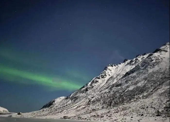 Sokkel Leiligheten *